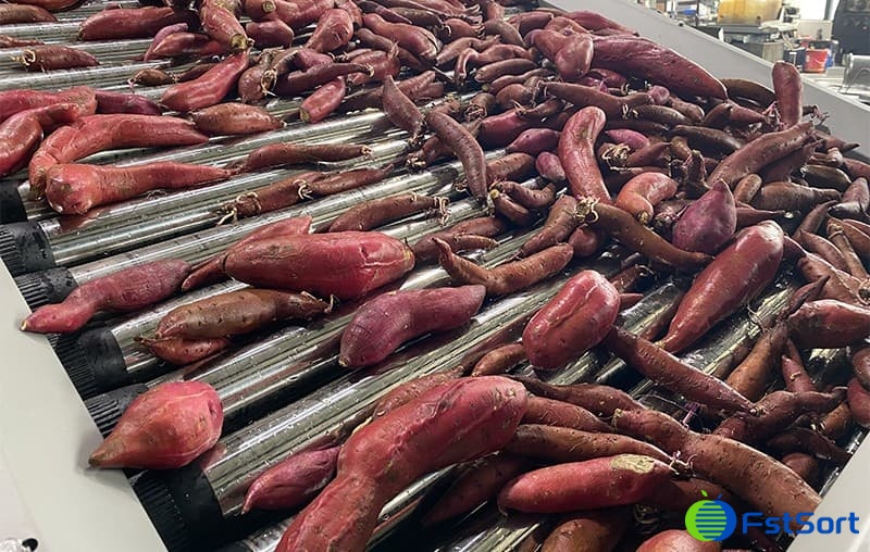 images/1686912234183sweet potato grading machine.jpg